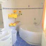 Comfort-size لينتز