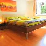 Comfort-size شقة
