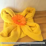 Comfort-size لينتز