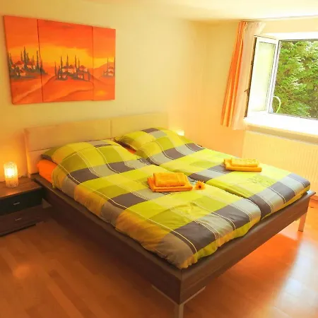 Comfort-size Lejlighed Linz