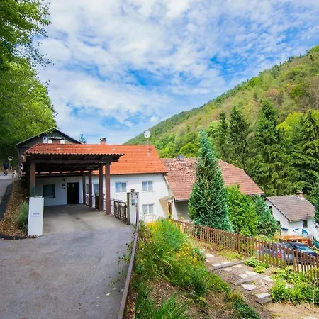 公寓 林茨舒适尺寸公寓 *