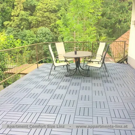 林茨舒适尺寸公寓 *