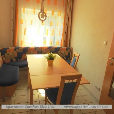 林茨舒适尺寸公寓