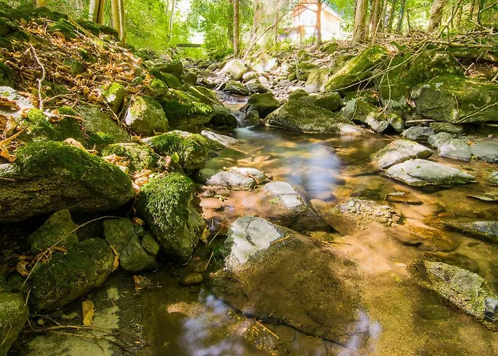 شقة Comfort-size *