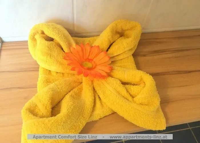 Comfort-size لينتز